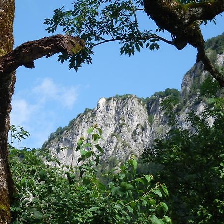 Alpenappartement Europa Sankt Johann in Tirol Zewnętrze zdjęcie