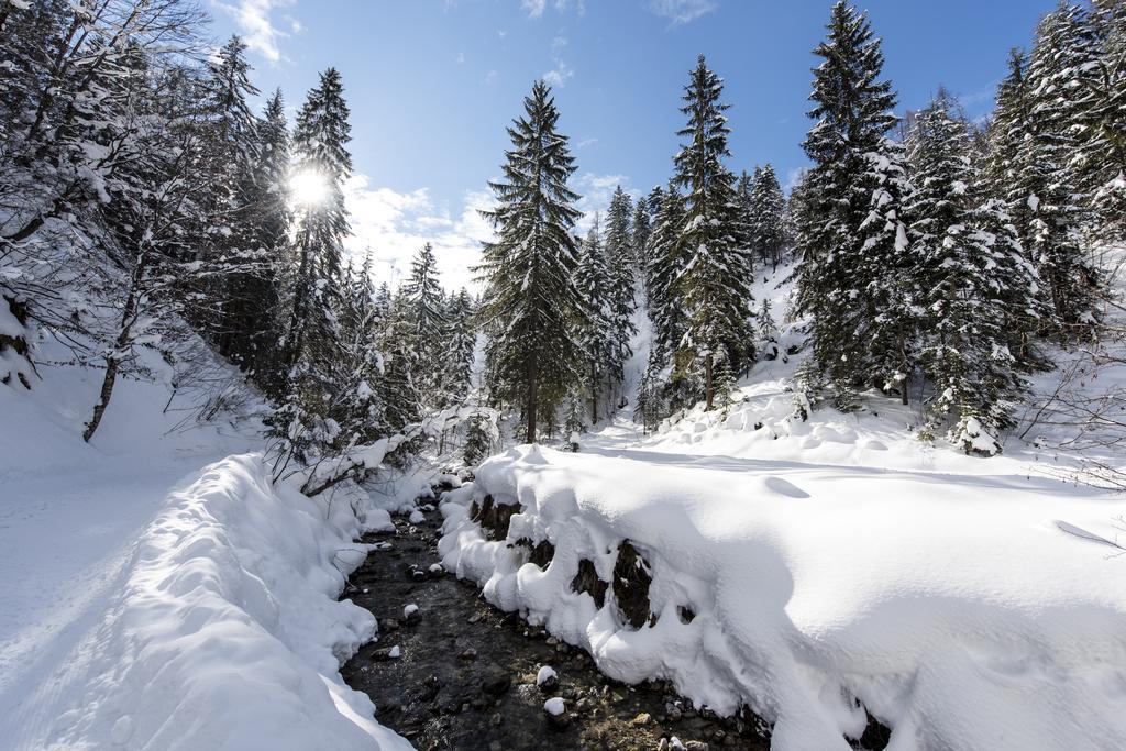 Alpenappartement Europa Sankt Johann in Tirol Zewnętrze zdjęcie